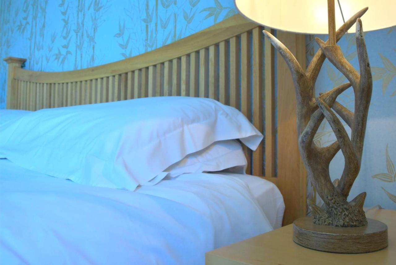 No12 Bed And Breakfast, Σεντ Άντριους Εξωτερικό φωτογραφία